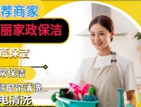 如何清洗抽油烟机和磁砖（简单又高效的清洁方法）