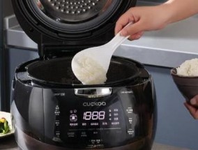 电饭煲煮饭发热的原因解析（探究电饭煲煮饭时产生热量的原因及影响因素）