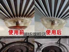 吸油烟机清洗剂的安全性（揭开吸油烟机清洗剂的真相）
