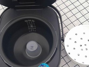 电饭煲保温功能失效的处理方法（解决电饭煲保温失效的实用技巧）