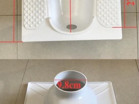 卫生间蹲便器安装方位风水的影响（如何选择最佳方位以及避免负能量）