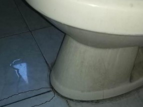 以箭牌马桶底部漏水原因及维修方法（解决马桶底部漏水的有效措施）