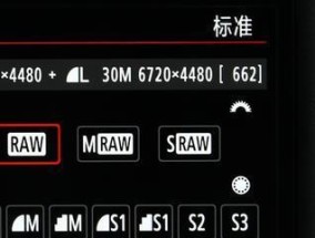 佳能相机拍照效果如何设置？有哪些技巧可以提高照片质量？