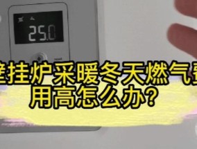 壁挂炉报警停机的原因及解决方法（了解壁挂炉报警停机原因）