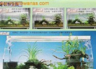 如何制作电视机鱼缸？制作过程中需要注意哪些问题？
