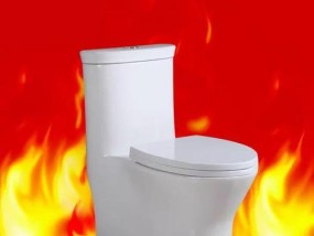马桶冲不干净的原因及维修方法（解析欧路莎马桶冲不干净问题）