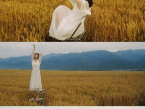 在麦田里手机怎么拍照？拍摄技巧和设置是什么？