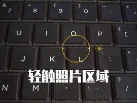 户外相机手机拍照操作指南？