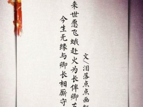 如何用手机拍摄长篇文字内容？
