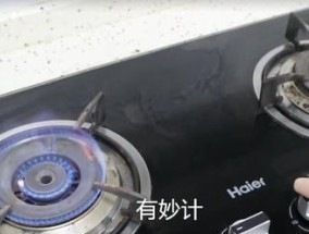 家中燃气灶下有老鼠（老鼠侵扰不止）