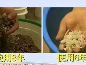 热水器内胆水垢清理方法（有效清除水垢）