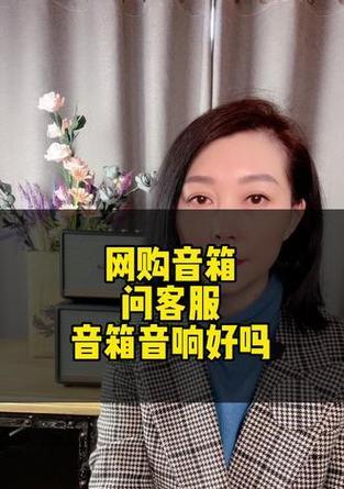 平直曲线音箱使用指南？如何调整音质？  第2张