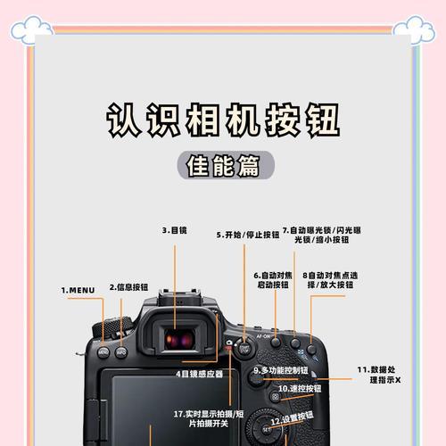 佳能相机拍照效果如何设置？有哪些技巧可以提高照片质量？  第2张